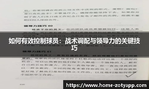中欧体育官网