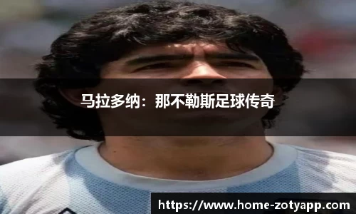 中欧体育平台